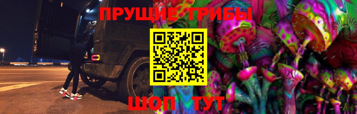 Псилоцибиновые грибы Psilocybine cubensis Шуя
